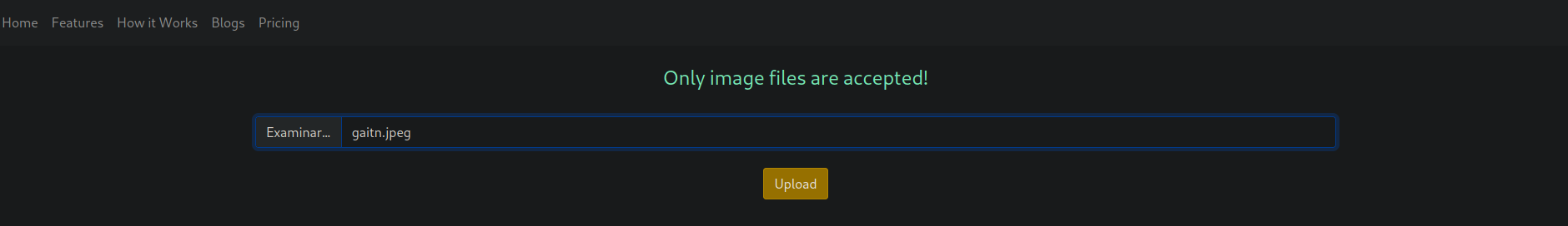 upload-result