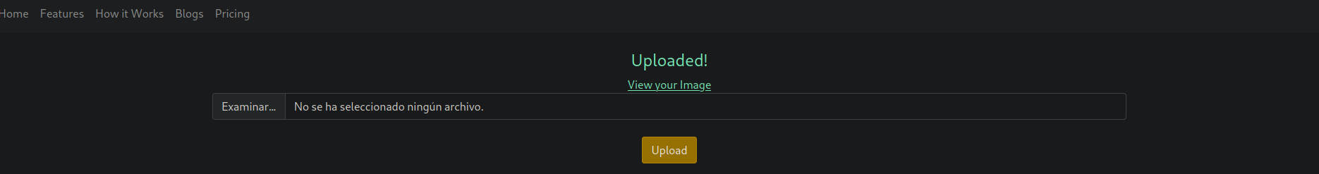 upload-succes
